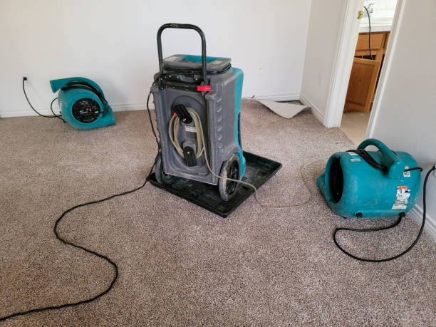 Best Carpet water damage restoration  in Joppatowne, MD