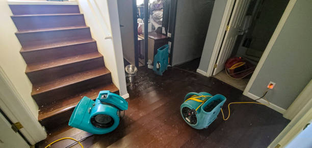 Best Ceiling water damage repair  in Joppatowne, MD
