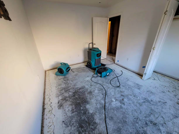 Best Mold removal after water damage  in Joppatowne, MD